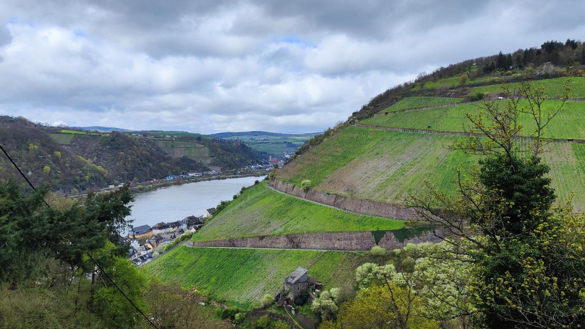 Direkt Am Rhein Mit Burgblick Nahe Rheinsteig Bis 8 Personen, 2 Baeder, 4 Zimmer, Kueche, Netflix Apartment Кауб Екстериор снимка